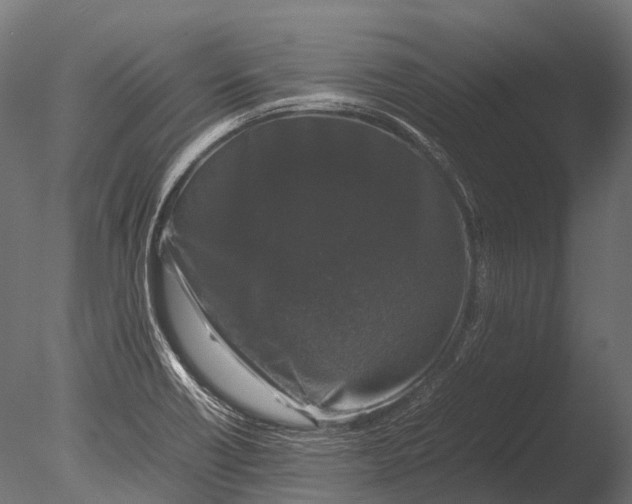 X0000085071418200703261219