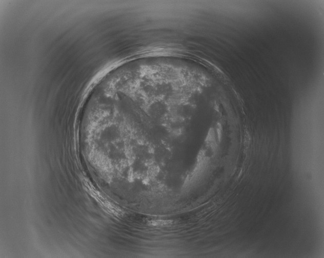 X0000085071419200703261219