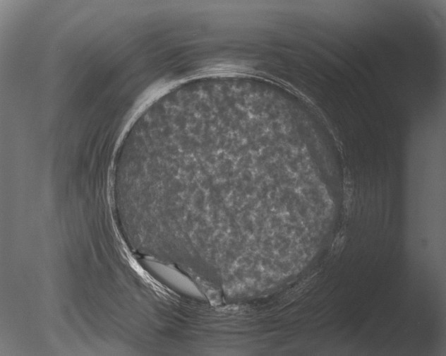 X0000085071421200703261219