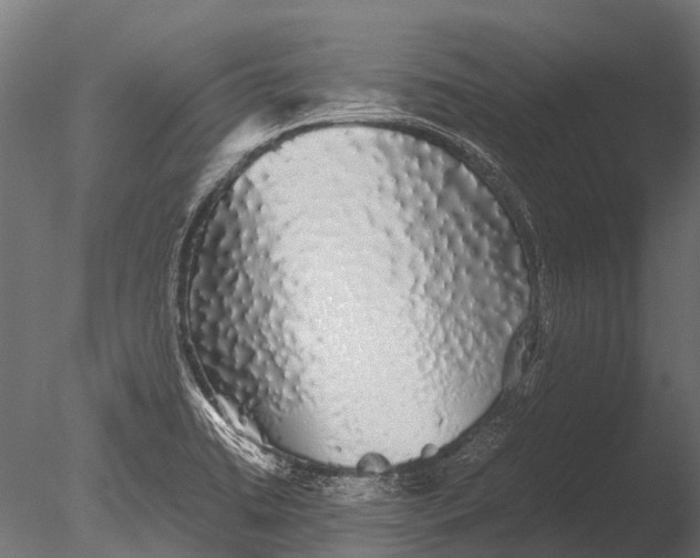 X0000085071422200703261219