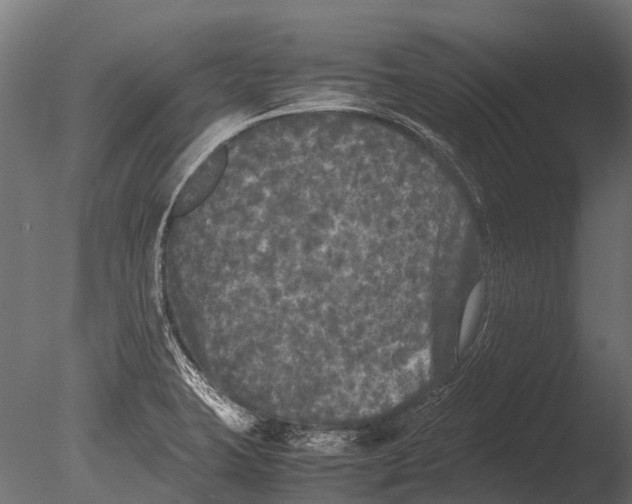 X0000085071423200703261219