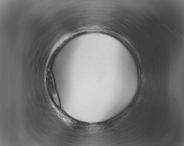 X0000085071424200703261219