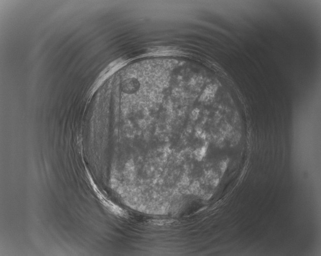 X0000085071425200703261219