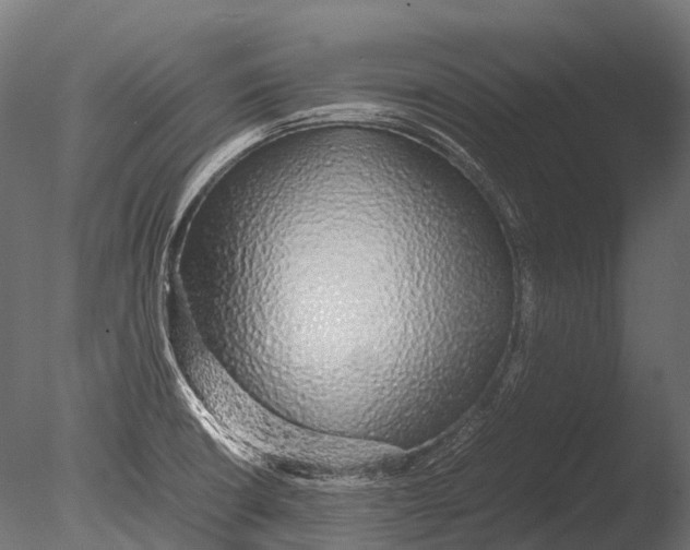 X0000085071426200703261219