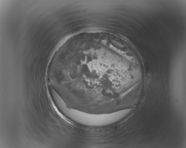 X0000085071429200703261219