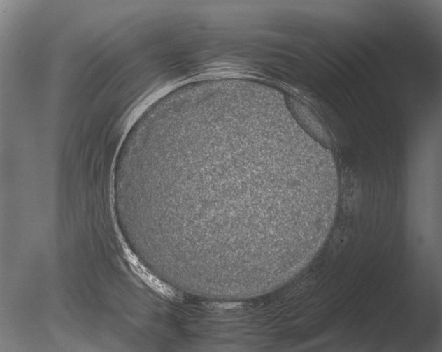 X0000085071431200703261219