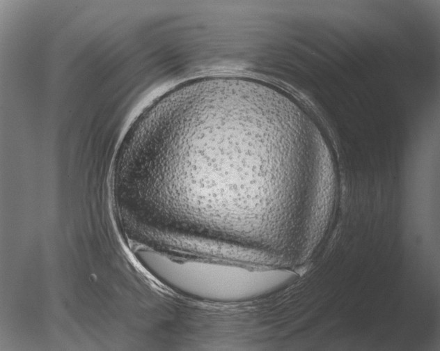 X0000085071432200703261219