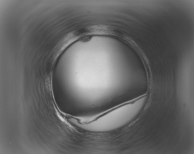 X0000085071433200703261219