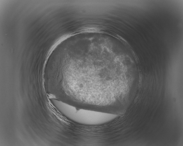 X0000085071435200703261220