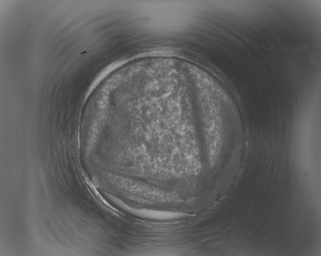 X0000085071436200703261220