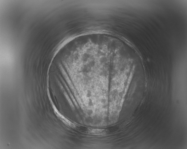 X0000085071439200703261220