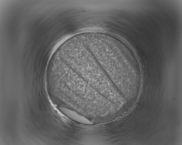 X0000085071440200703261220