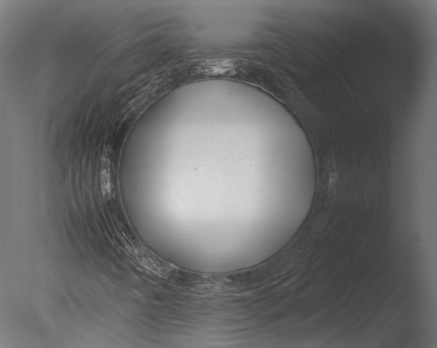 X0000085071442200703261219