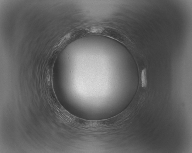 X0000085071443200703261219