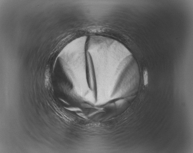 X0000085071444200703261219