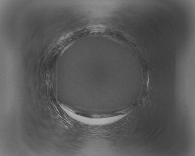 X0000085071445200703261219