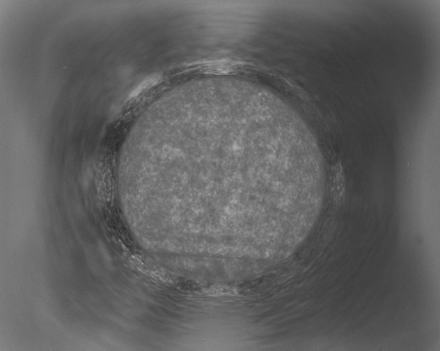 X0000085071446200703261219