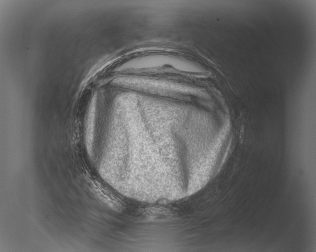 X0000085071448200703261219