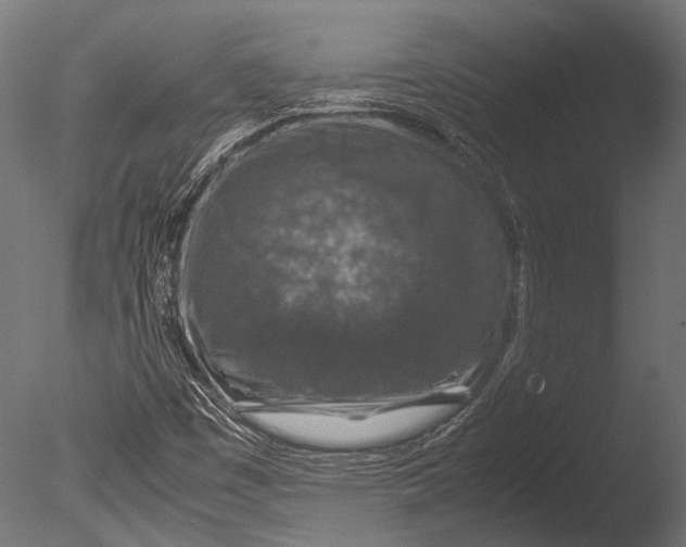 X0000085071449200703261219