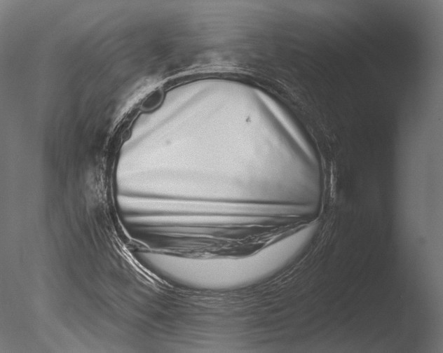 X0000085071452200703261219