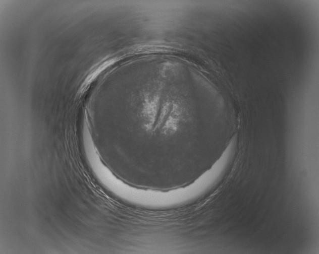 X0000085071453200703261219