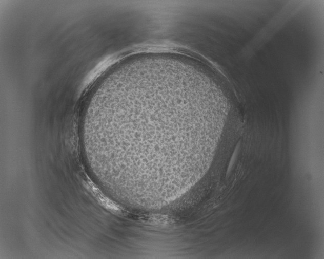 X0000085071456200703261219