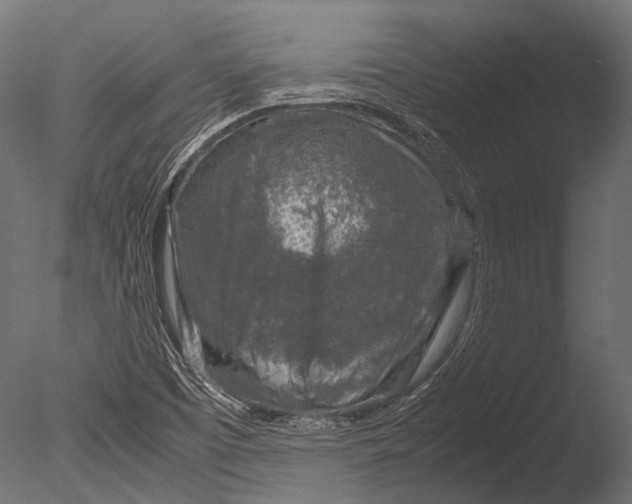 X0000085071457200703261218