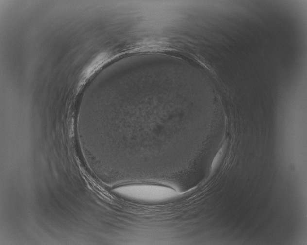 X0000085071459200703261218