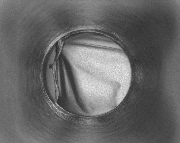 X0000085071460200703261218