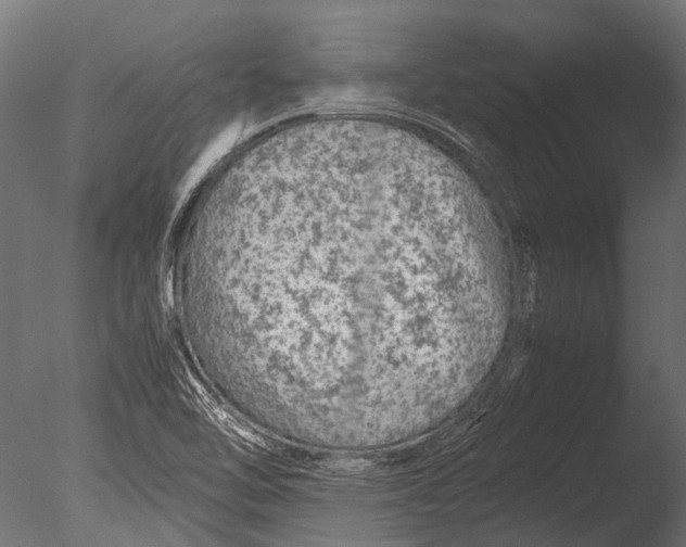 X0000085071462200703261218