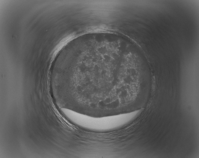 X0000085071463200703261218