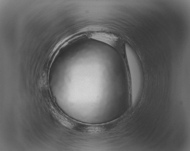 X0000085071465200703261218