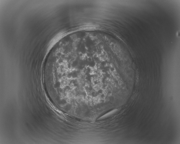 X0000085071467200703261218