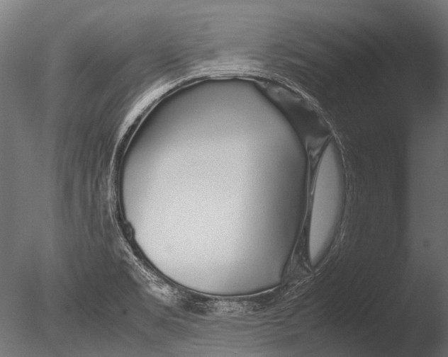 X0000085071469200703261218