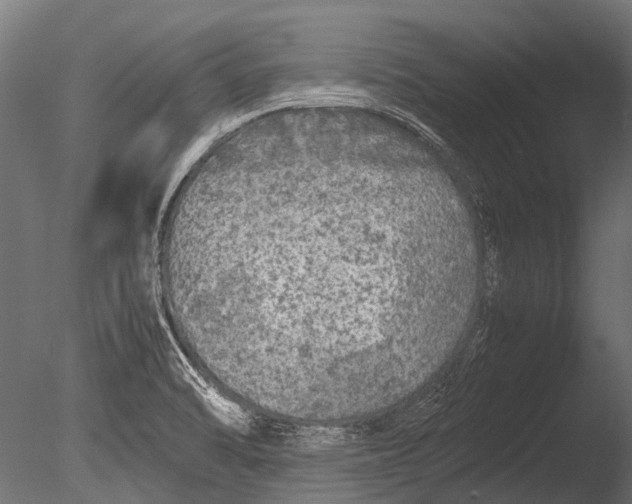 X0000085071470200703261218