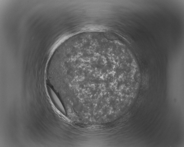 X0000085071471200703261218