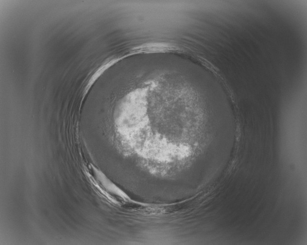 X0000085071473200703261218