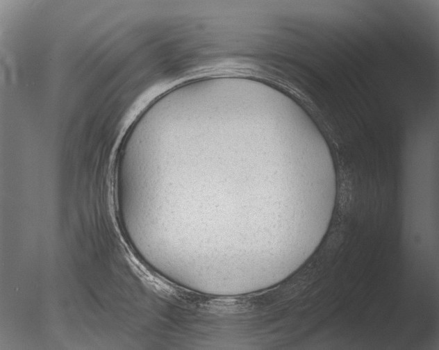 X0000085071478200703261218