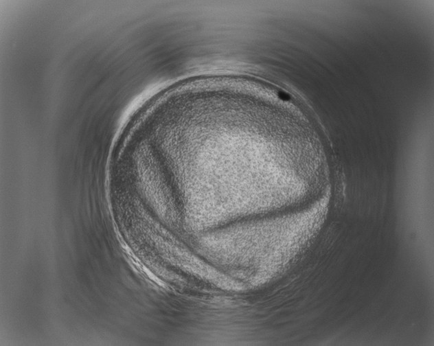 X0000085071480200703261218