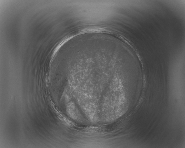 X0000085071481200703261218