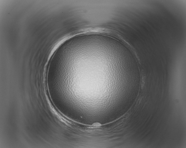 X0000085071483200703261218