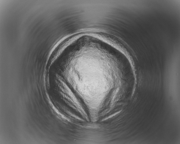 X0000085071484200703261218