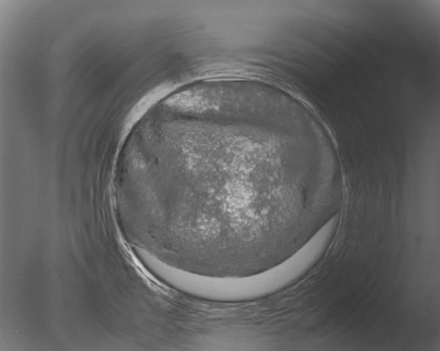 X0000085071485200703261218