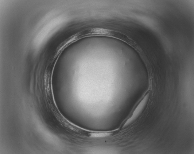 X0000085071487200703261218