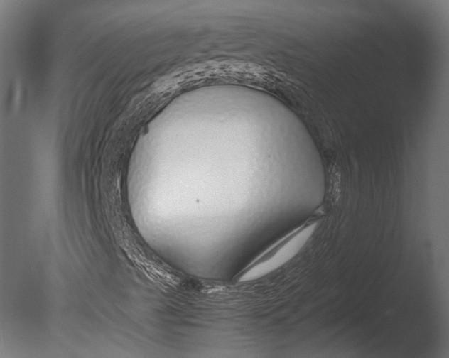 X0000085071489200703261217