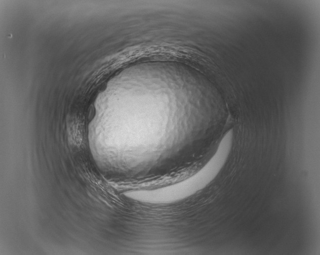 X0000085071490200703261217