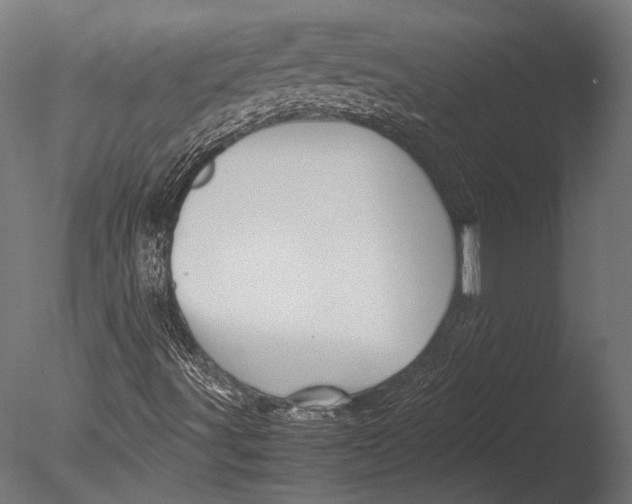 X0000085071491200703261217