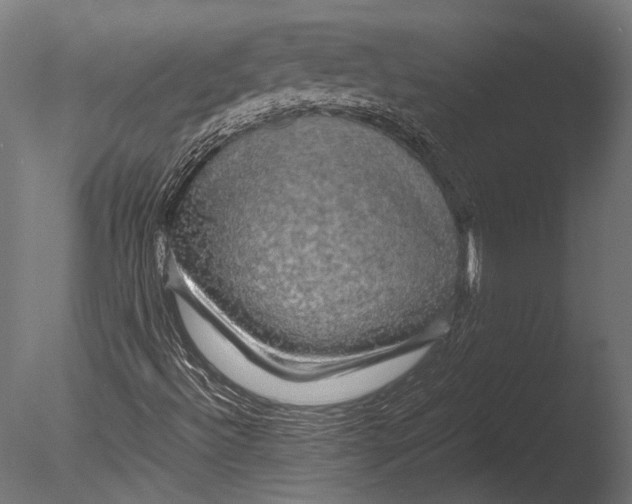 X0000085071492200703261217