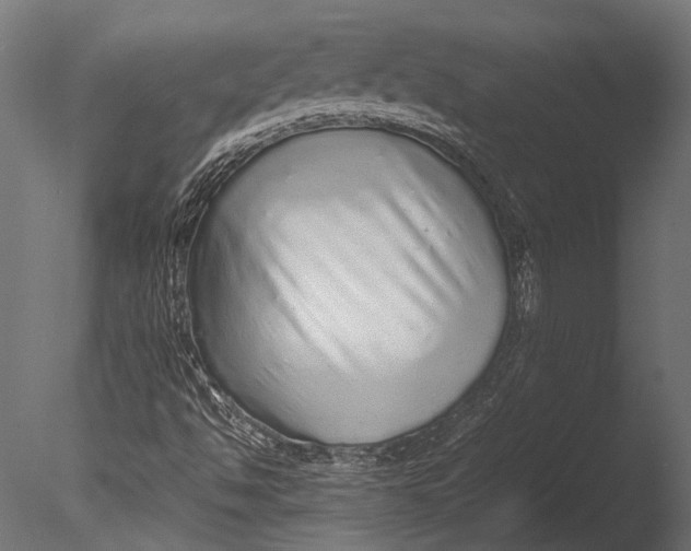 X0000085071494200703261217