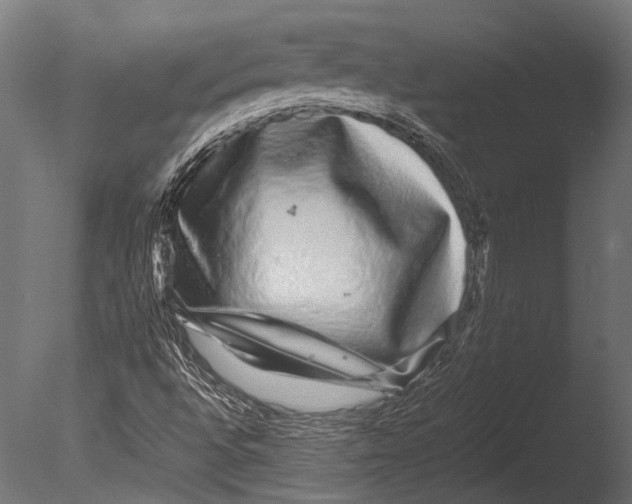 X0000085071496200703261217